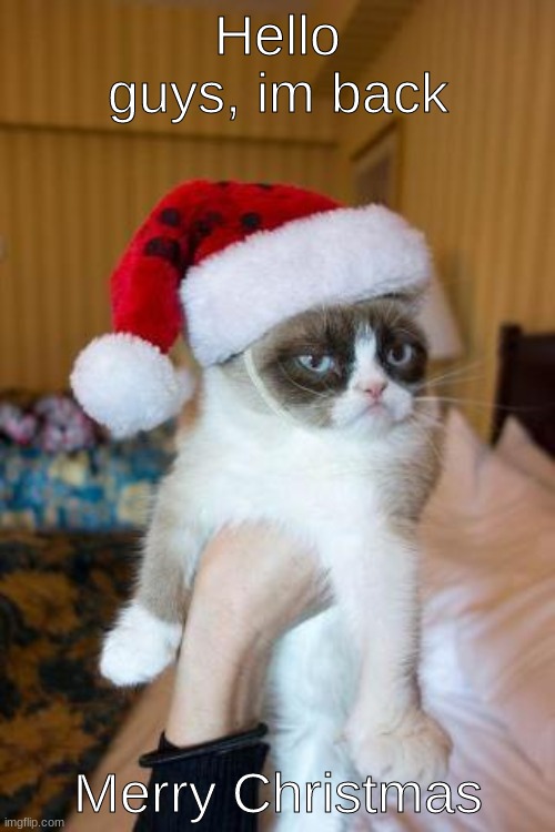 MERRY CHRISTMAS TO YOU | Hello guys, im back; Merry Christmas | image tagged in memes,grumpy cat christmas,grumpy cat | made w/ Imgflip meme maker