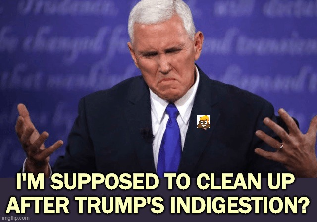 It's a dirty job, but somebody's got to do it. | I'M SUPPOSED TO CLEAN UP 
AFTER TRUMP'S INDIGESTION? | image tagged in mike pence grimace,trump,depends | made w/ Imgflip meme maker