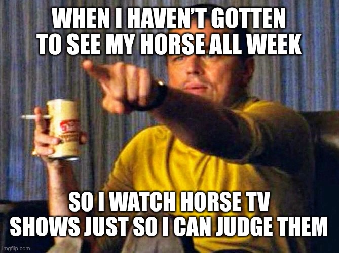 Leonardo Dicaprio pointing at tv | WHEN I HAVEN’T GOTTEN TO SEE MY HORSE ALL WEEK; SO I WATCH HORSE TV SHOWS JUST SO I CAN JUDGE THEM | image tagged in leonardo dicaprio pointing at tv | made w/ Imgflip meme maker