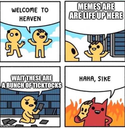 Welcome to heaven | MEMES ARE ARE LIFE UP HERE; WAIT THESE ARE A BUNCH OF TICKTOCKS | image tagged in welcome to heaven | made w/ Imgflip meme maker