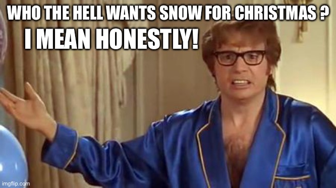 Austin Powers Honestly | WHO THE HELL WANTS SNOW FOR CHRISTMAS ? I MEAN HONESTLY! | image tagged in memes,austin powers honestly | made w/ Imgflip meme maker