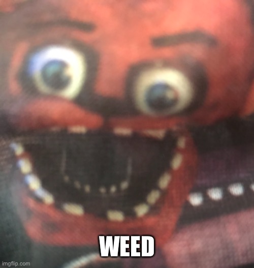 WEED | image tagged in freddy | made w/ Imgflip meme maker
