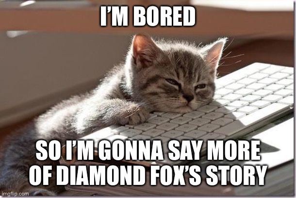 Bored Keyboard Cat | I’M BORED; SO I’M GONNA SAY MORE OF DIAMOND FOX’S STORY | image tagged in bored keyboard cat,diamond fox | made w/ Imgflip meme maker