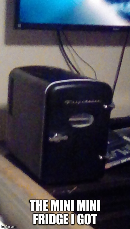 THE MINI MINI FRIDGE I GOT | made w/ Imgflip meme maker