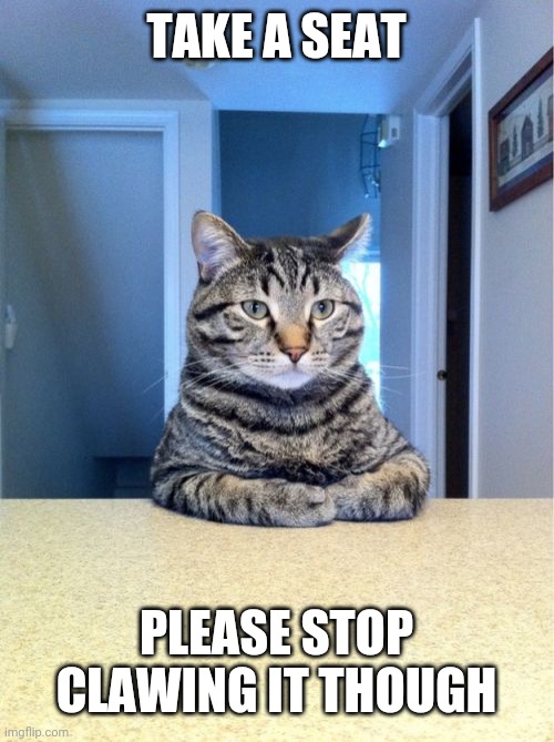 Take A Seat Cat | TAKE A SEAT; PLEASE STOP CLAWING IT THOUGH | image tagged in memes,take a seat cat | made w/ Imgflip meme maker