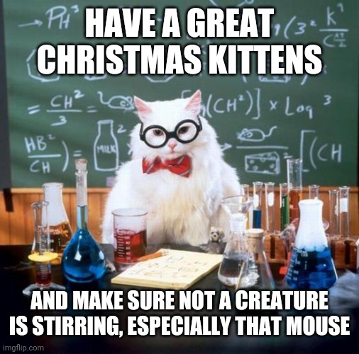Chemistry Cat | HAVE A GREAT CHRISTMAS KITTENS; AND MAKE SURE NOT A CREATURE IS STIRRING, ESPECIALLY THAT MOUSE | image tagged in memes,chemistry cat | made w/ Imgflip meme maker