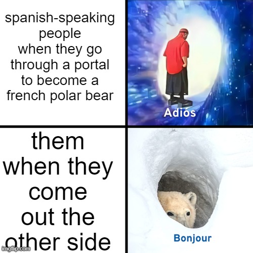 magic | spanish-speaking people when they go through a portal to become a french polar bear; them when they come out the other side | image tagged in adios bonjour | made w/ Imgflip meme maker
