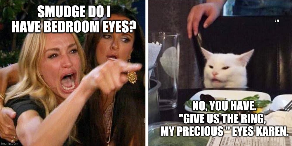 Smudge the cat | J M; SMUDGE DO I HAVE BEDROOM EYES? NO, YOU HAVE. "GIVE US THE RING,  
 MY PRECIOUS " EYES KAREN. | image tagged in smudge the cat | made w/ Imgflip meme maker