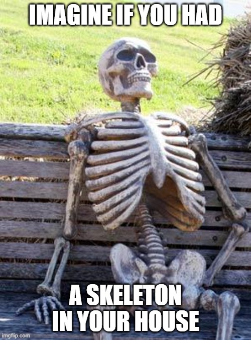 Waiting Skeleton | IMAGINE IF YOU HAD; A SKELETON IN YOUR HOUSE | image tagged in memes,waiting skeleton | made w/ Imgflip meme maker