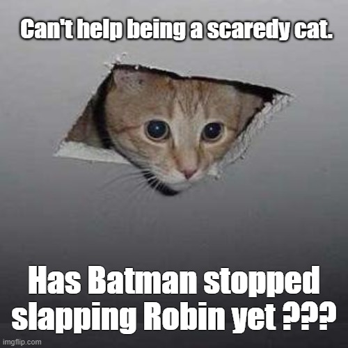 Scardy cat | Can't help being a scaredy cat. Has Batman stopped slapping Robin yet ??? | image tagged in memes,ceiling cat,funny,scared cat,batman slapping robin,meme comments | made w/ Imgflip meme maker