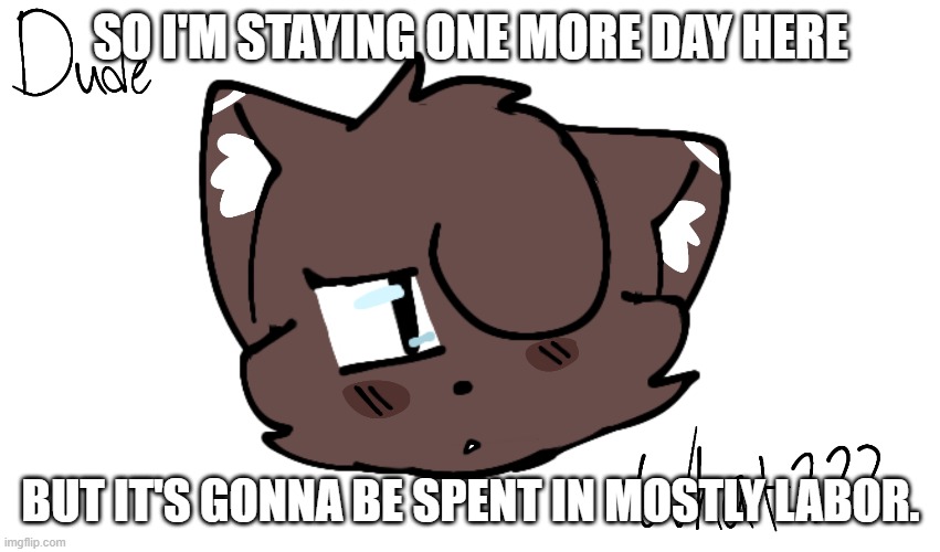 Bruh | SO I'M STAYING ONE MORE DAY HERE; BUT IT'S GONNA BE SPENT IN MOSTLY LABOR. | image tagged in bruh | made w/ Imgflip meme maker