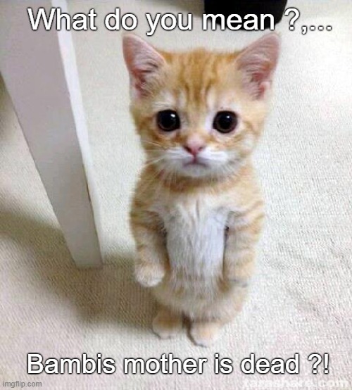 Tell me | What do you mean ?,... Bambis mother is dead ?! | image tagged in memes,cute cat,bambi,childhood,memory,stories | made w/ Imgflip meme maker