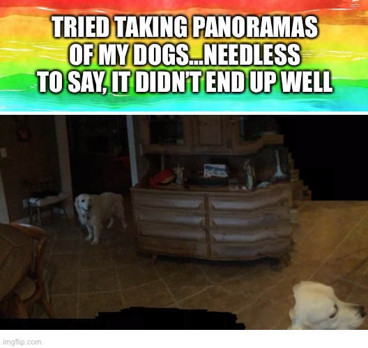 TRIED TAKING PANORAMAS OF MY DOGS...NEEDLESS TO SAY, IT DIDN’T END UP WELL | image tagged in blank page to fill | made w/ Imgflip meme maker