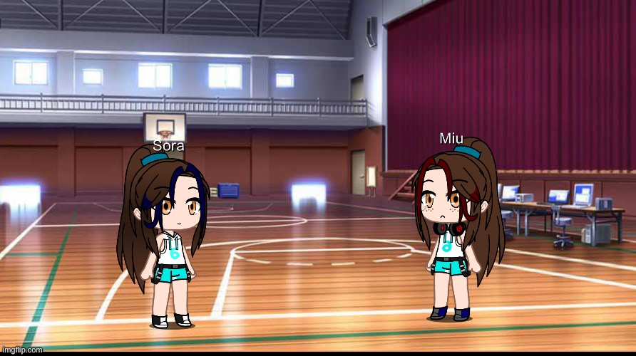 Ask and dare Miu and Sora (they’re twins, and haikyuu oc’s) | made w/ Imgflip meme maker