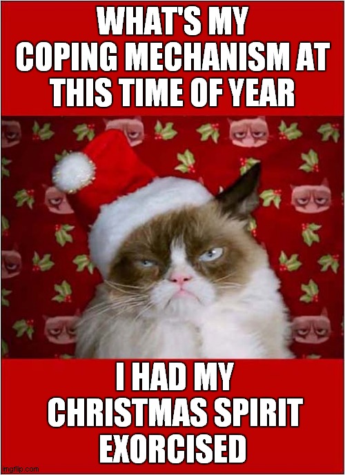 Grumpys Christmas Despair ! | WHAT'S MY COPING MECHANISM AT THIS TIME OF YEAR; I HAD MY CHRISTMAS SPIRIT; EXORCISED | image tagged in grumpy cat christmas,spirit,exorcised,cats | made w/ Imgflip meme maker