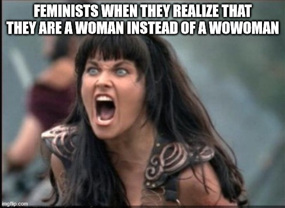 Screaming Woman | FEMINISTS WHEN THEY REALIZE THAT THEY ARE A WOMAN INSTEAD OF A WOWOMAN | image tagged in screaming woman | made w/ Imgflip meme maker