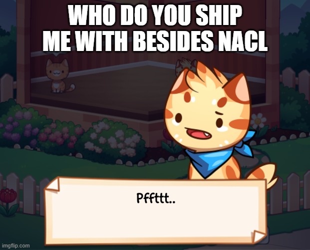 *expects no answers* | WHO DO YOU SHIP ME WITH BESIDES NACL | image tagged in pffttt | made w/ Imgflip meme maker
