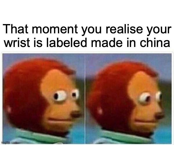 Monkey Puppet Meme | That moment you realise your wrist is labeled made in china | image tagged in memes,monkey puppet | made w/ Imgflip meme maker