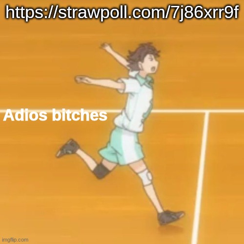 https://strawpoll.com/7j86xrr9f | https://strawpoll.com/7j86xrr9f | image tagged in adios bitches | made w/ Imgflip meme maker