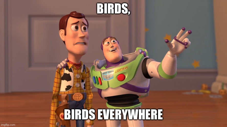 Woody and Buzz Lightyear Everywhere Widescreen | BIRDS, BIRDS EVERYWHERE | image tagged in woody and buzz lightyear everywhere widescreen | made w/ Imgflip meme maker