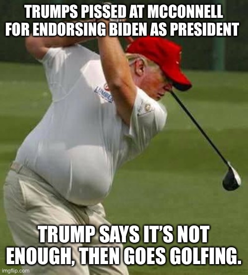 trump golf gut | TRUMPS PISSED AT MCCONNELL FOR ENDORSING BIDEN AS PRESIDENT TRUMP SAYS IT’S NOT ENOUGH, THEN GOES GOLFING. | image tagged in trump golf gut | made w/ Imgflip meme maker