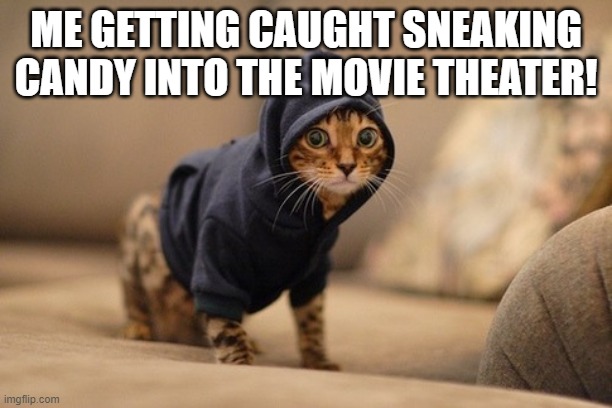 Hoody Cat | ME GETTING CAUGHT SNEAKING CANDY INTO THE MOVIE THEATER! | image tagged in memes,hoody cat | made w/ Imgflip meme maker