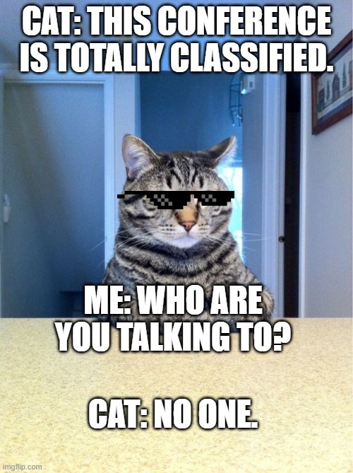 Take A Seat Cat Meme | CAT: THIS CONFERENCE IS TOTALLY CLASSIFIED. ME: WHO ARE YOU TALKING TO? CAT: NO ONE. | image tagged in memes,take a seat cat | made w/ Imgflip meme maker