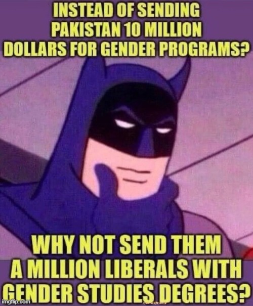 Brilliant Idea and a Good Use for Liberals.... | image tagged in political meme,liberalism is a mental disorder,gender studies | made w/ Imgflip meme maker