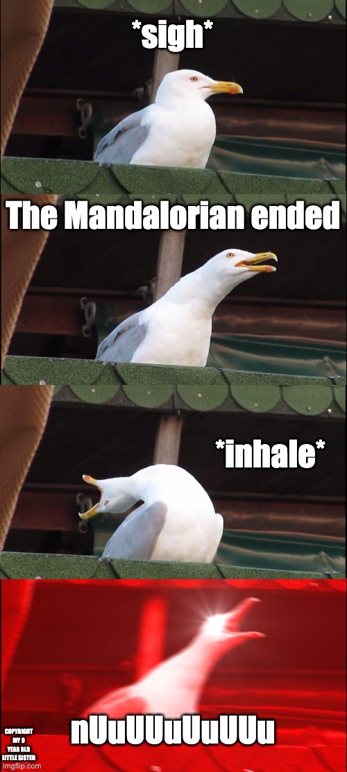 Inhaling Seagull Meme | *sigh* The Mandalorian ended *inhale* nUuUUuUuUUu COPYRIGHT MY 9 YEAR OLD LITTLE SISTER | image tagged in memes,inhaling seagull | made w/ Imgflip meme maker