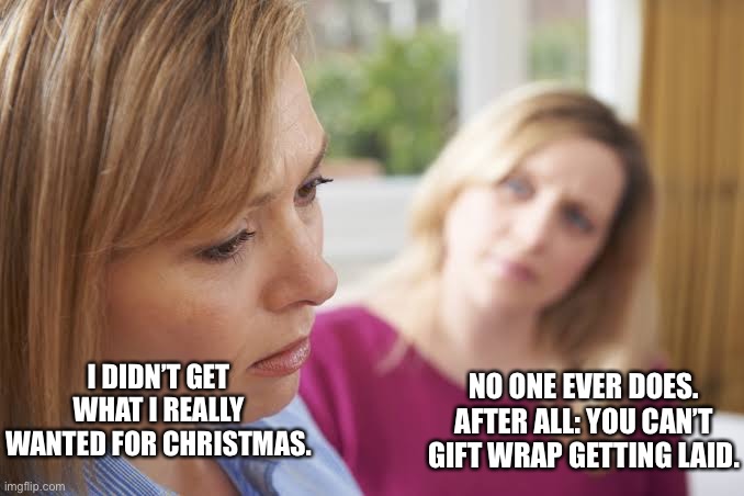 NO ONE EVER DOES. AFTER ALL: YOU CAN’T GIFT WRAP GETTING LAID. I DIDN’T GET WHAT I REALLY WANTED FOR CHRISTMAS. | image tagged in depressed woman and her helpful friend | made w/ Imgflip meme maker