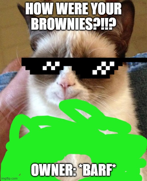 Grumpy Cat Happy | HOW WERE YOUR BROWNIES?!!? OWNER: *BARF* | image tagged in memes,grumpy cat happy,grumpy cat | made w/ Imgflip meme maker