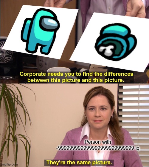 They're The Same Picture | Person with -999999999999999999999999999 iq | image tagged in memes,they're the same picture | made w/ Imgflip meme maker