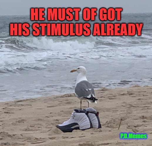 HE MUST OF GOT HIS STIMULUS ALREADY; P.D.Memes | image tagged in stimulus,funny memes,meme,seagulls,sneakers,beach | made w/ Imgflip meme maker