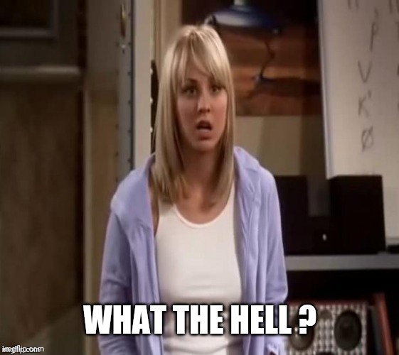 Confused Penny | WHAT THE HELL ? | image tagged in confused penny | made w/ Imgflip meme maker