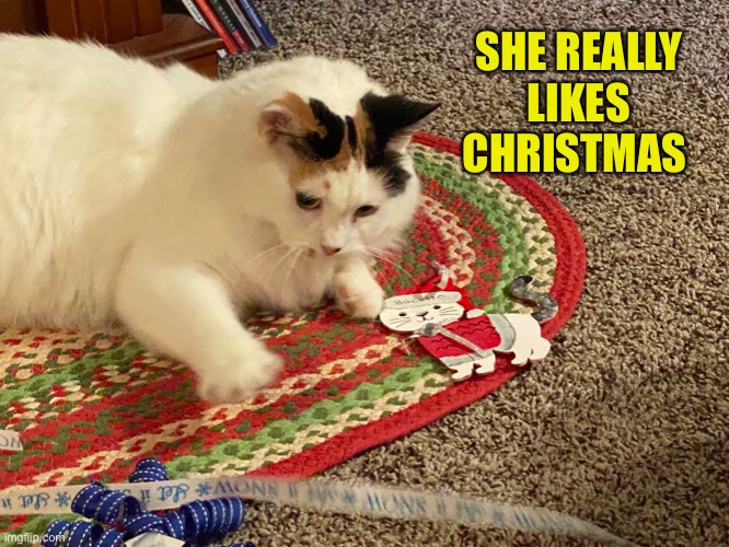 SHE REALLY LIKES CHRISTMAS | made w/ Imgflip meme maker
