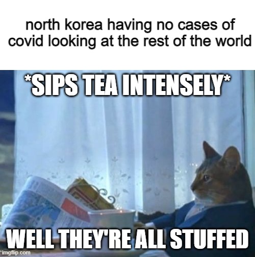 yep, they have it good -_- | north korea having no cases of covid looking at the rest of the world; *SIPS TEA INTENSELY*; WELL THEY'RE ALL STUFFED | image tagged in memes,i should buy a boat cat,covid-19,north korea | made w/ Imgflip meme maker