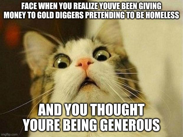 Scared Cat | FACE WHEN YOU REALIZE YOUVE BEEN GIVING MONEY TO GOLD DIGGERS PRETENDING TO BE HOMELESS; AND YOU THOUGHT YOURE BEING GENEROUS | image tagged in memes,scared cat | made w/ Imgflip meme maker