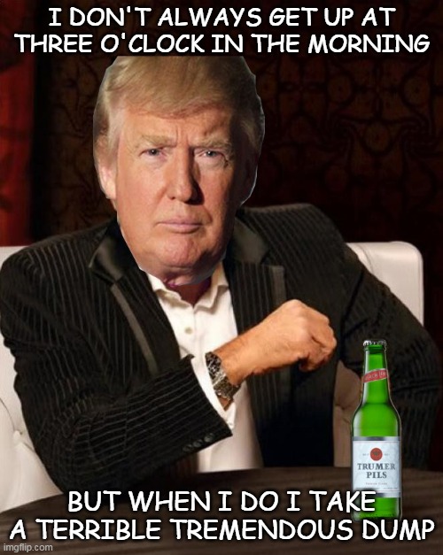 Donald Trump Most Interesting Man In The World (I Don't Always) | I DON'T ALWAYS GET UP AT THREE O'CLOCK IN THE MORNING; BUT WHEN I DO I TAKE A TERRIBLE TREMENDOUS DUMP | image tagged in donald trump most interesting man in the world i don't always | made w/ Imgflip meme maker