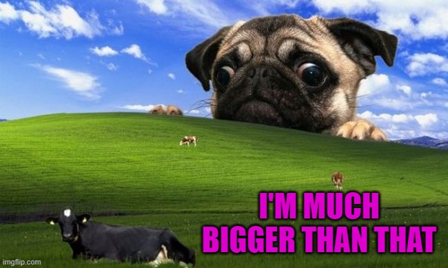 I'M MUCH BIGGER THAN THAT | made w/ Imgflip meme maker