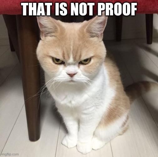 Mad cat | THAT IS NOT PROOF | image tagged in mad cat | made w/ Imgflip meme maker