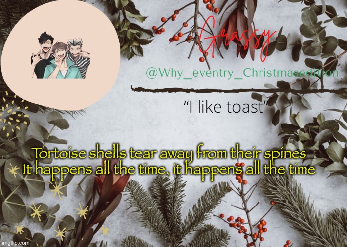 Why_eventry Christmas template | Tortoise shells tear away from their spines
It happens all the time, it happens all the time | image tagged in why_eventry christmas template | made w/ Imgflip meme maker
