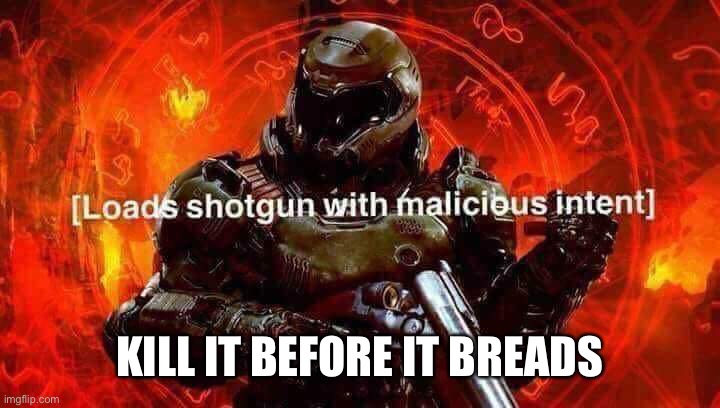 Loads shotgun with malicious intent | KILL IT BEFORE IT BREADS | image tagged in loads shotgun with malicious intent | made w/ Imgflip meme maker