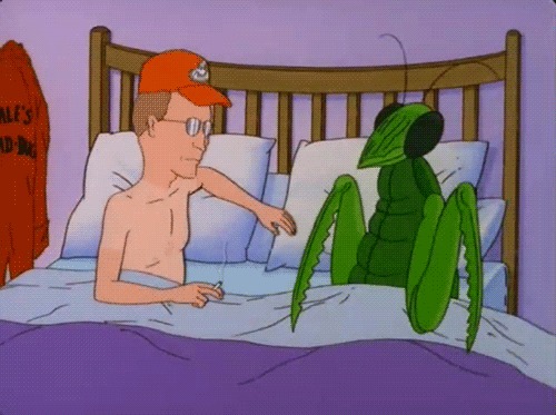 Dale Gribble preying Mantis Blank Meme Template
