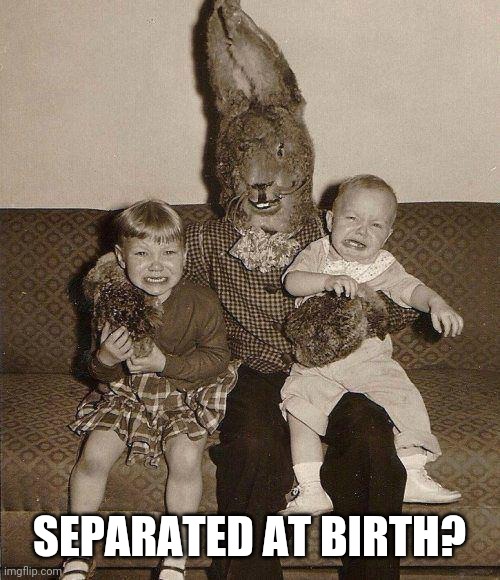 Creepy easter bunny | SEPARATED AT BIRTH? | image tagged in creepy easter bunny | made w/ Imgflip meme maker