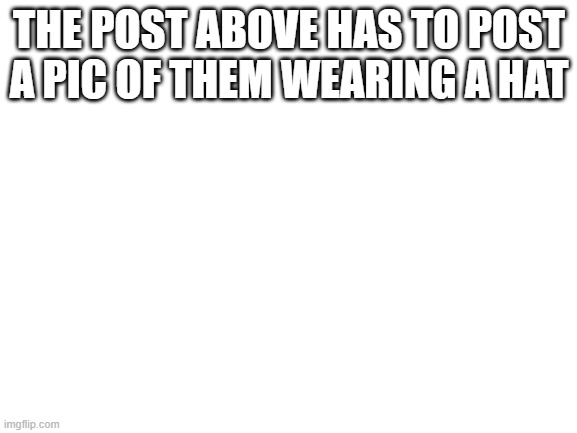 Blank White Template | THE POST ABOVE HAS TO POST A PIC OF THEM WEARING A HAT | image tagged in blank white template | made w/ Imgflip meme maker