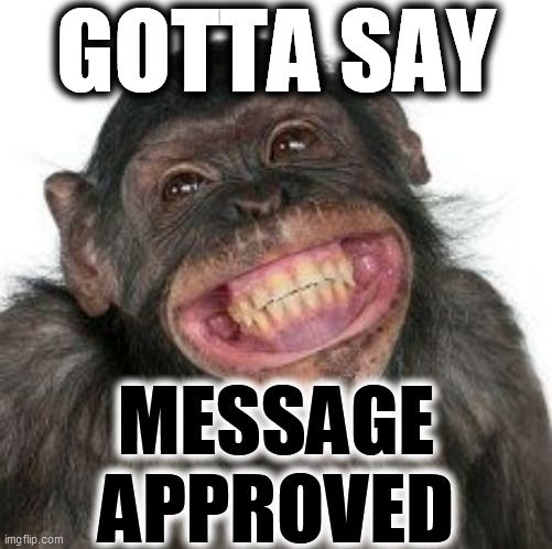 Grinning Chimp | GOTTA SAY MESSAGE
APPROVED | image tagged in grinning chimp | made w/ Imgflip meme maker
