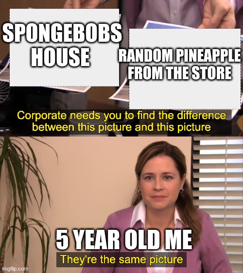 there the same picture | SPONGEBOBS HOUSE; RANDOM PINEAPPLE
FROM THE STORE; 5 YEAR OLD ME | image tagged in there the same picture | made w/ Imgflip meme maker