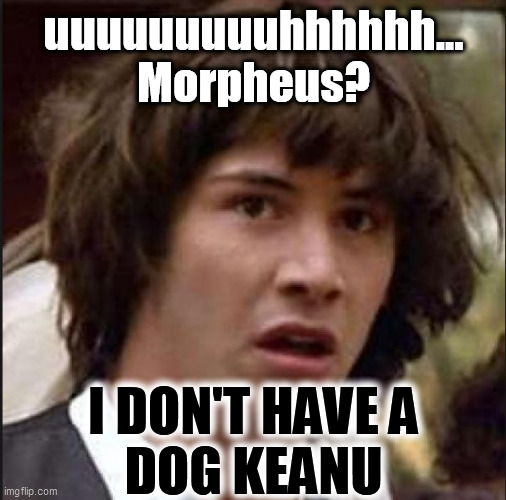 Keanu Reeves | uuuuuuuuuhhhhhh...
Morpheus? I DON'T HAVE A
DOG KEANU | image tagged in keanu reeves | made w/ Imgflip meme maker