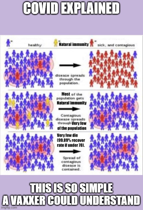 So simple a vaxxer can understand | COVID EXPLAINED; THIS IS SO SIMPLE A VAXXER COULD UNDERSTAND | image tagged in covid explained | made w/ Imgflip meme maker