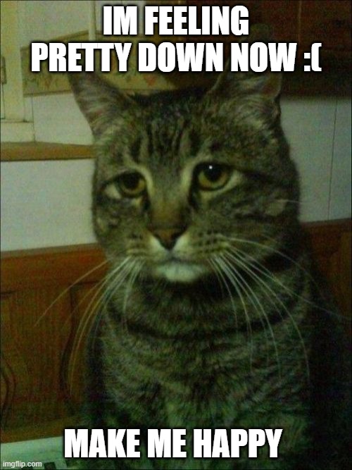 Depressed Cat | IM FEELING PRETTY DOWN NOW :(; MAKE ME HAPPY | image tagged in memes,depressed cat | made w/ Imgflip meme maker
